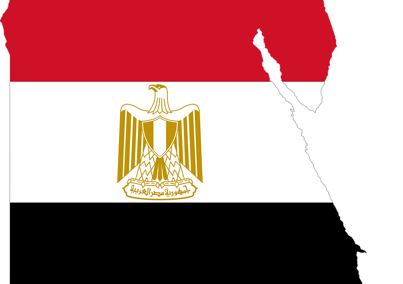 Четверть населения Египта получила две дозы вакцины от COVID