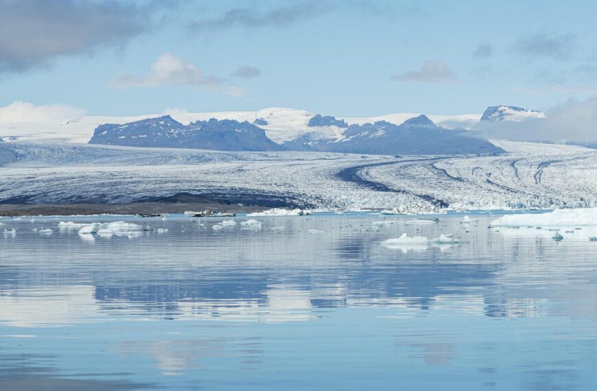 Шельфовые ледники Гренландии потеряли треть своего объема
