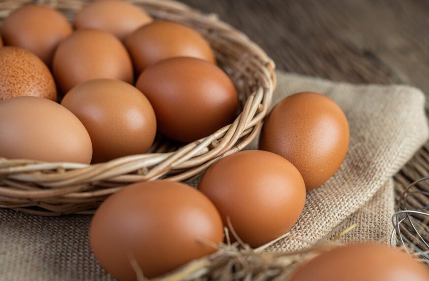 Россия получит крупную партию куриных яиц из Турции